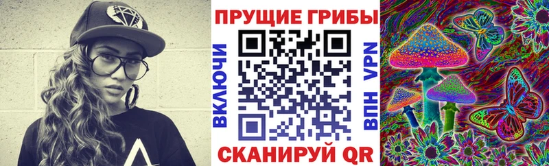 Купить  Инсар  Галлюциногенные грибы MAGIC MUSHROOMS 